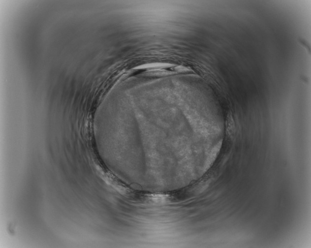 X0000101170233200807251140