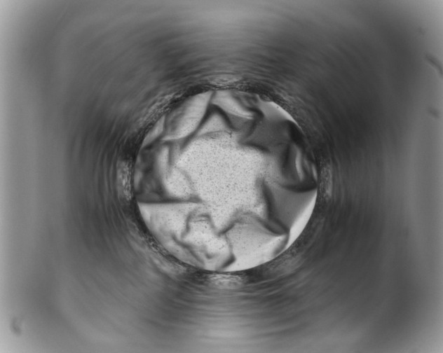 X0000101170234200807251140