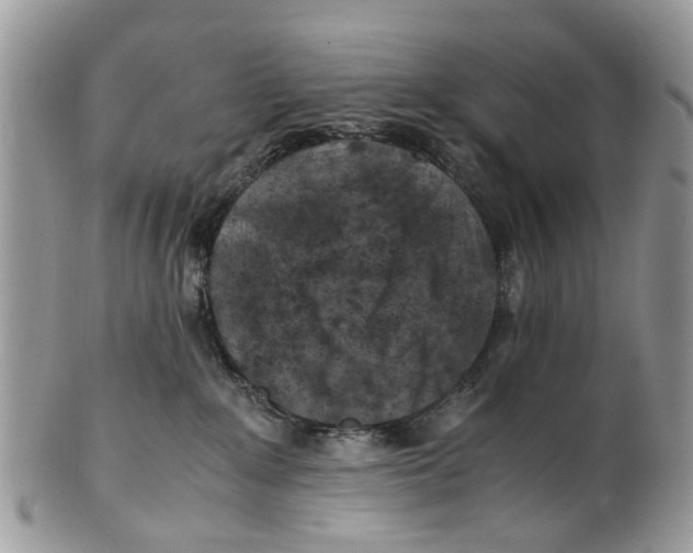 X0000101170235200807251140
