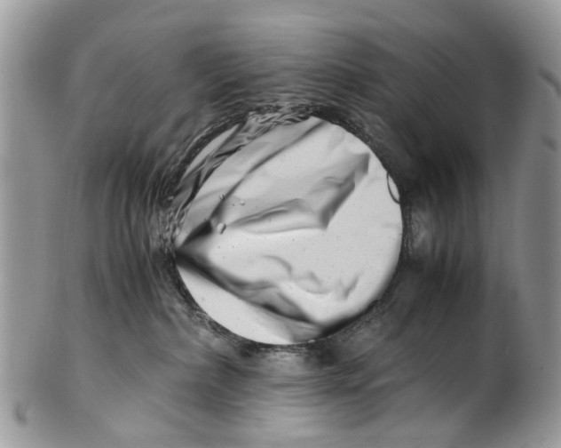 X0000101170236200807251140