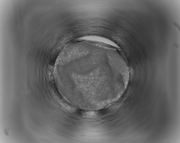 X0000101170237200807251140