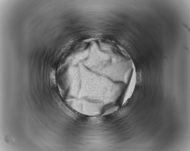X0000101170238200807251140