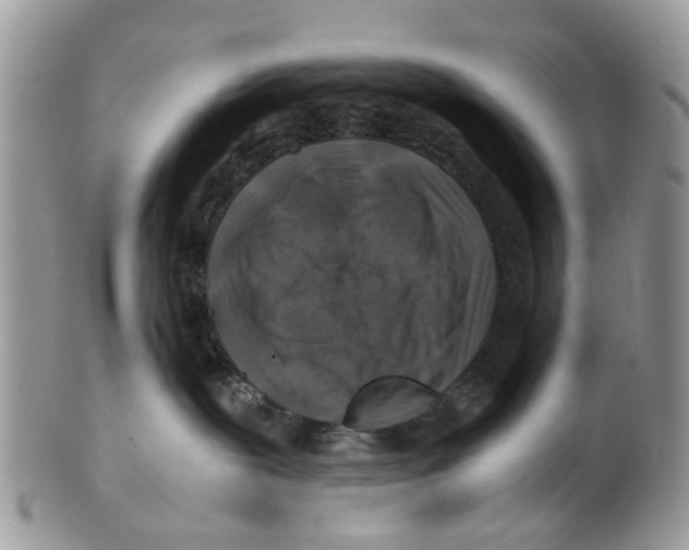 X0000101170239200807251140