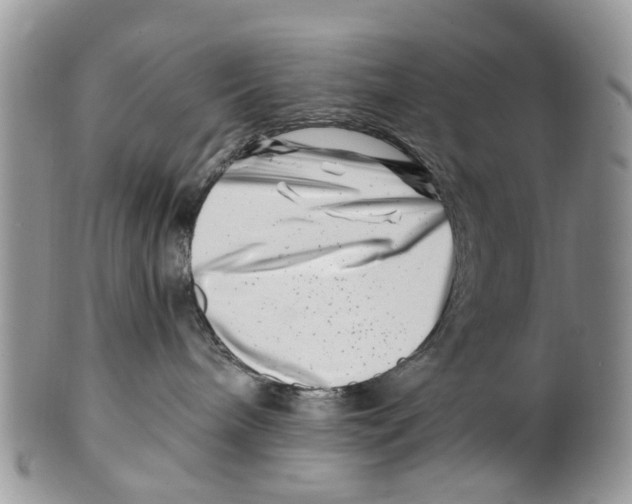 X0000101170240200807251140