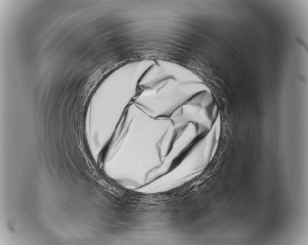 X0000101170241200807251139