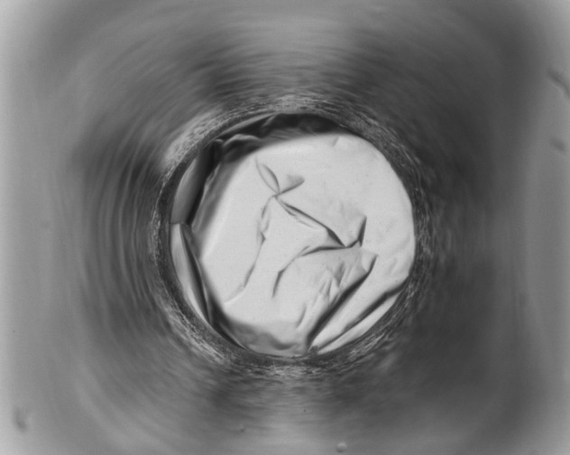 X0000101170242200807251139