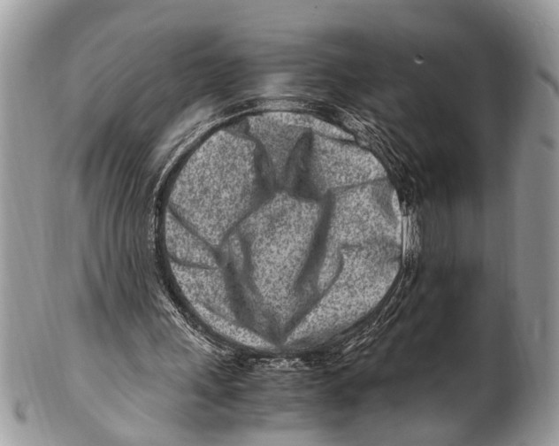 X0000101170243200807251139