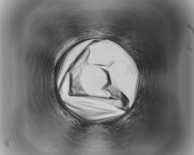 X0000101170244200807251139