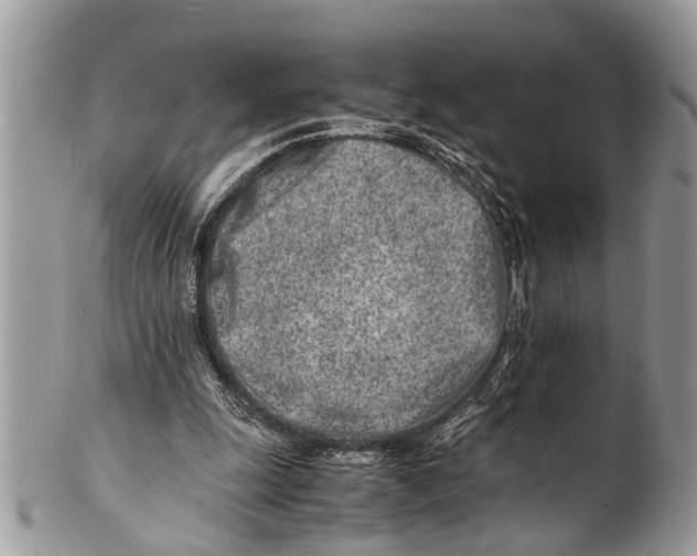 X0000101170247200807251139