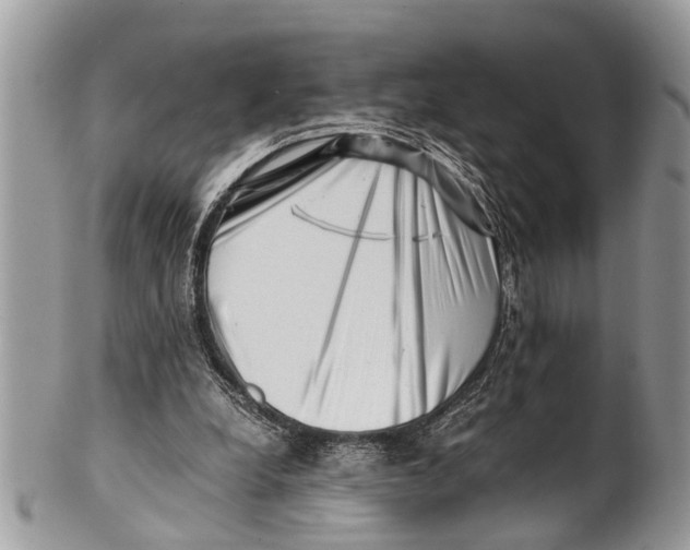 X0000101170248200807251139