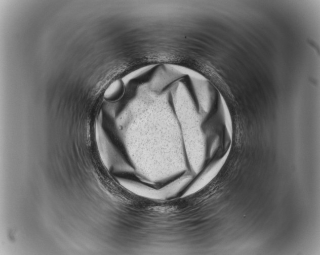 X0000101170251200807251139