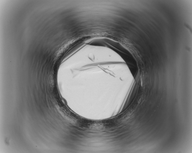 X0000101170252200807251139
