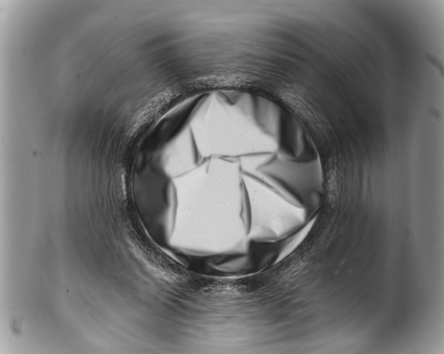 X0000101170254200807251139