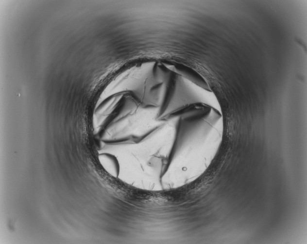X0000101170256200807251139
