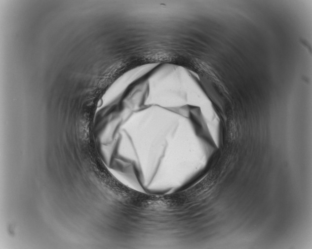 X0000101170259200807251139