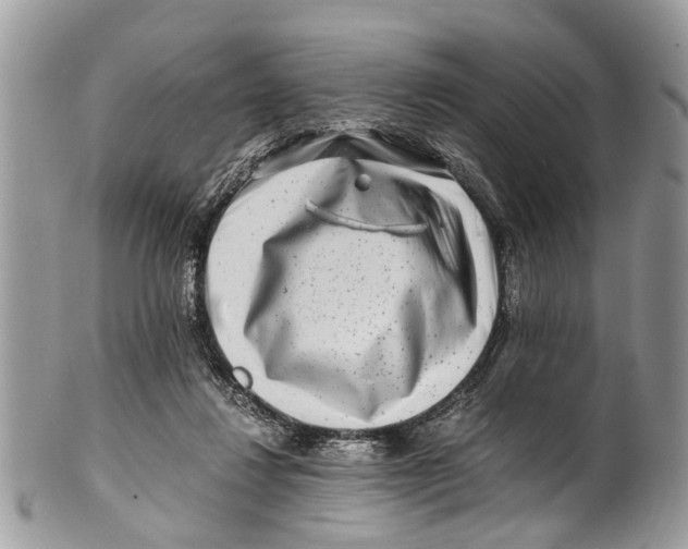 X0000101170260200807251139