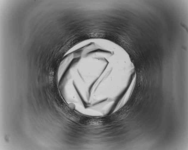 X0000101170263200807251139
