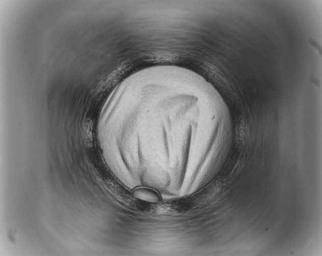 X0000101170264200807251139