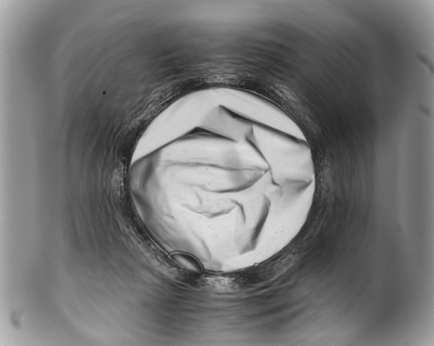 X0000101170265200807251139