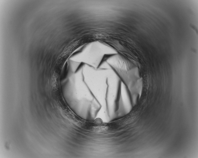 X0000101170266200807251139