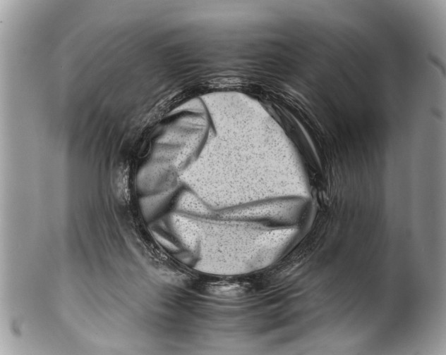 X0000101170267200807251139