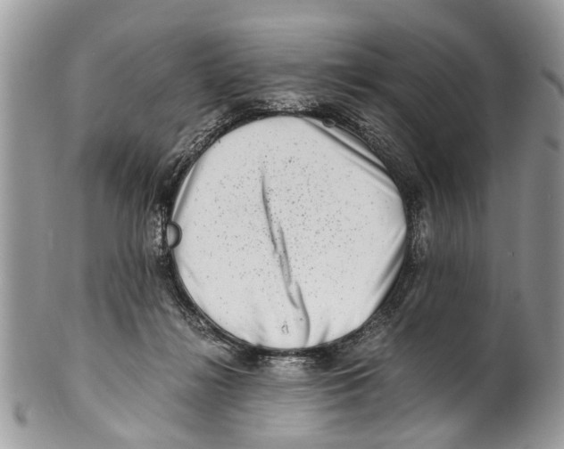 X0000101170268200807251139