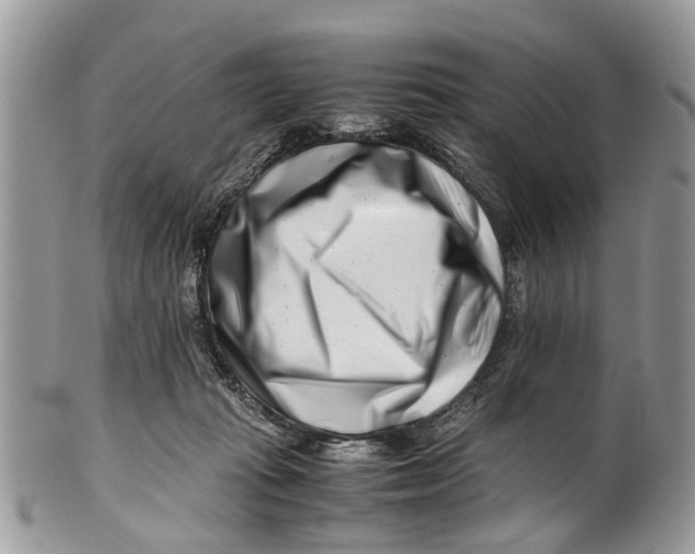 X0000101170269200807251139