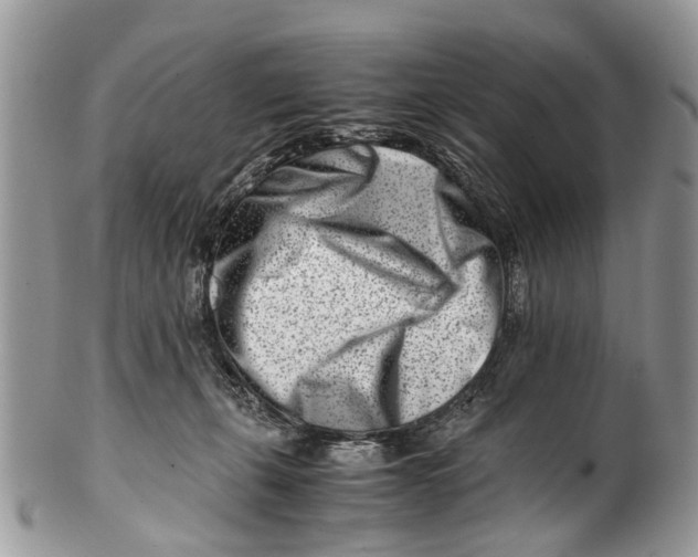 X0000101170271200807251139