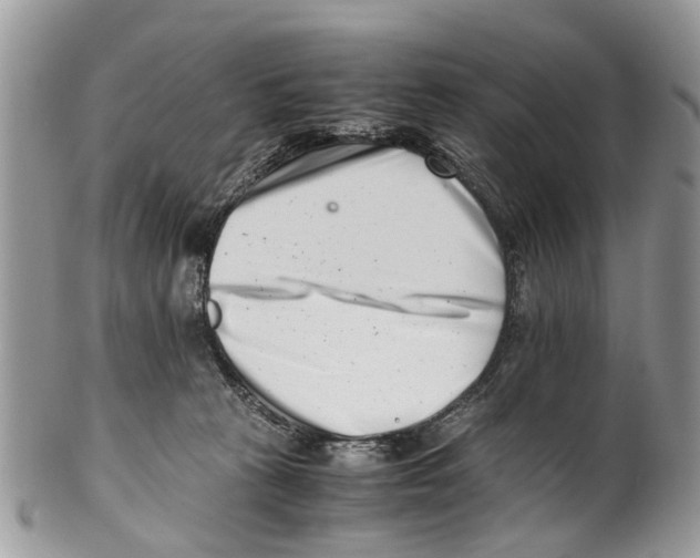 X0000101170273200807251139