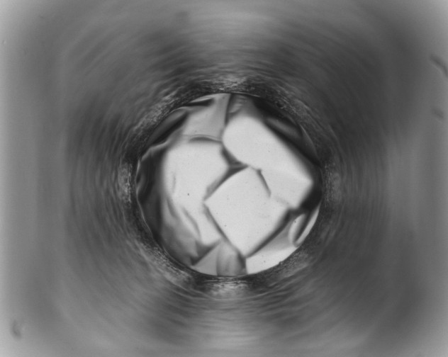 X0000101170274200807251139