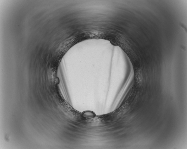 X0000101170276200807251139