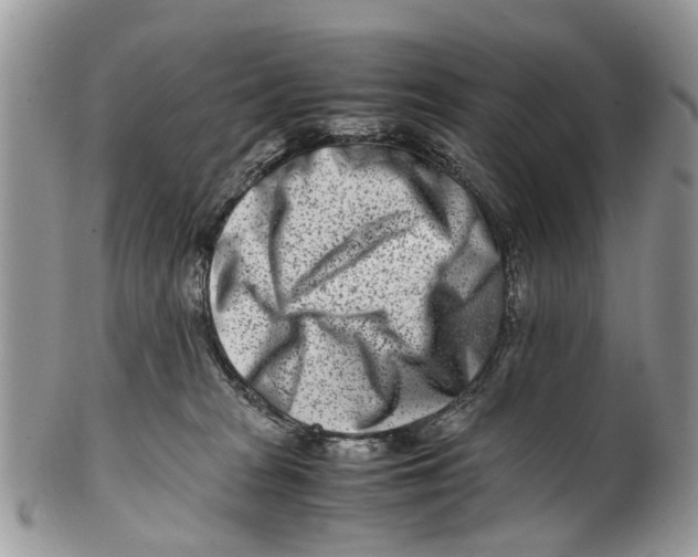X0000101170277200807251139