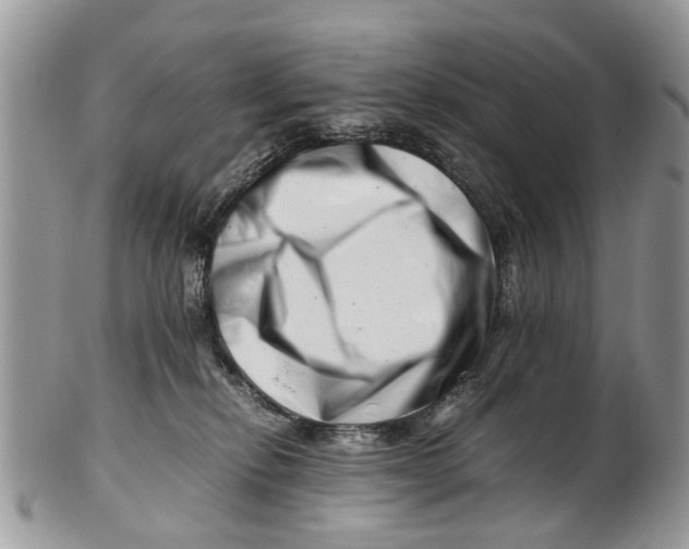 X0000101170278200807251139