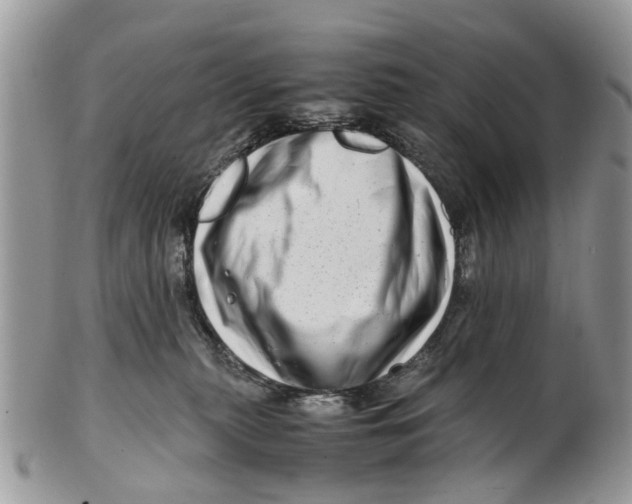 X0000101170279200807251139