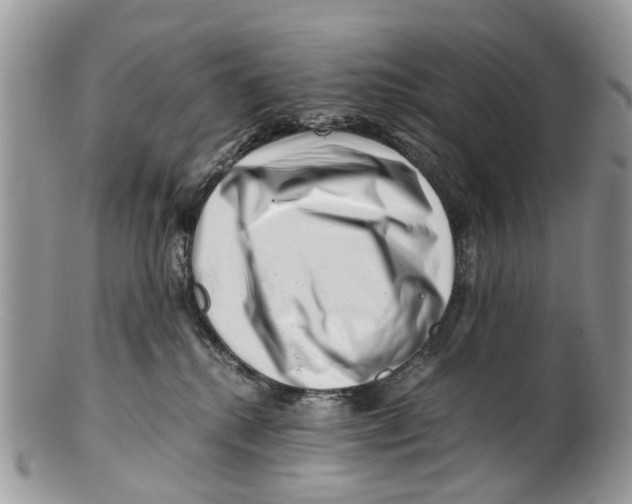 X0000101170280200807251139