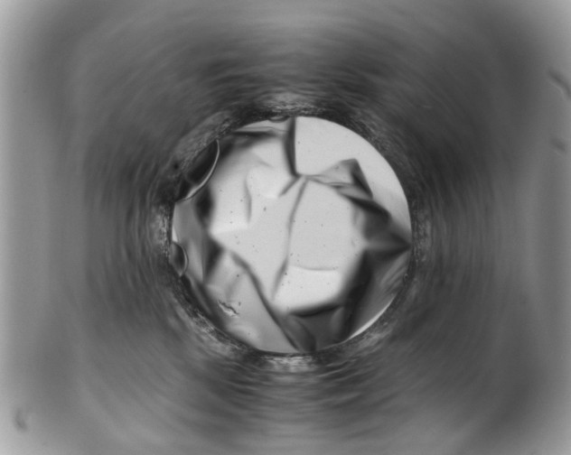 X0000101170281200807251140