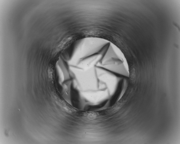 X0000101170282200807251140