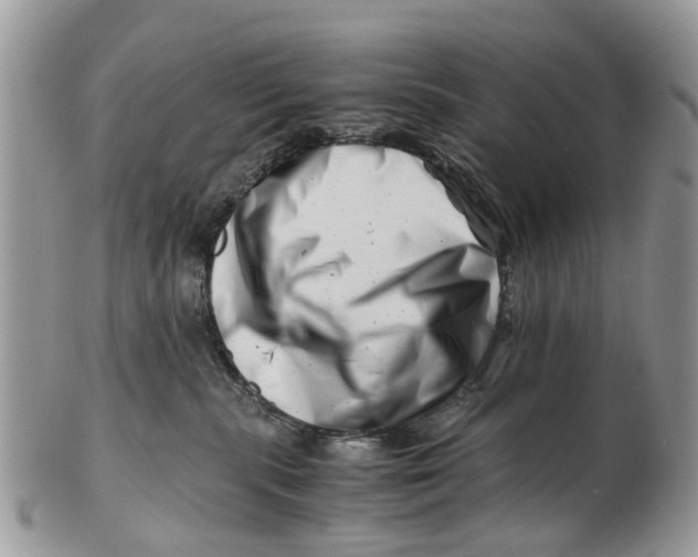 X0000101170283200807251140