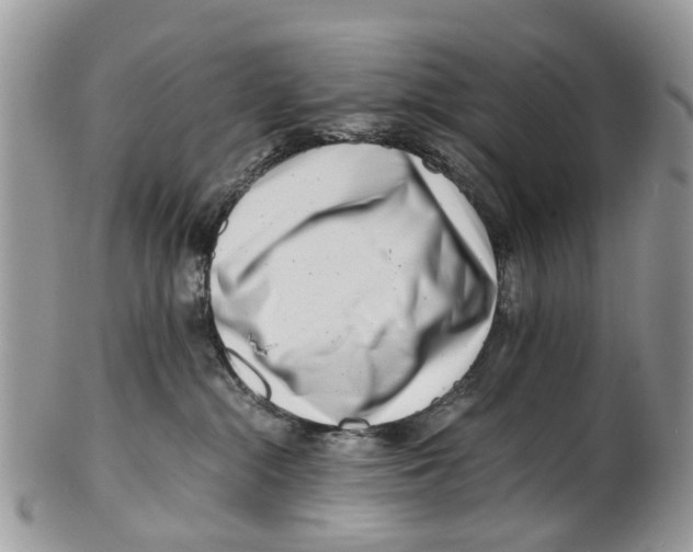 X0000101170284200807251140