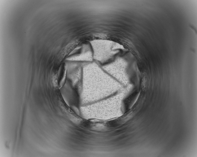X0000101170285200807251140