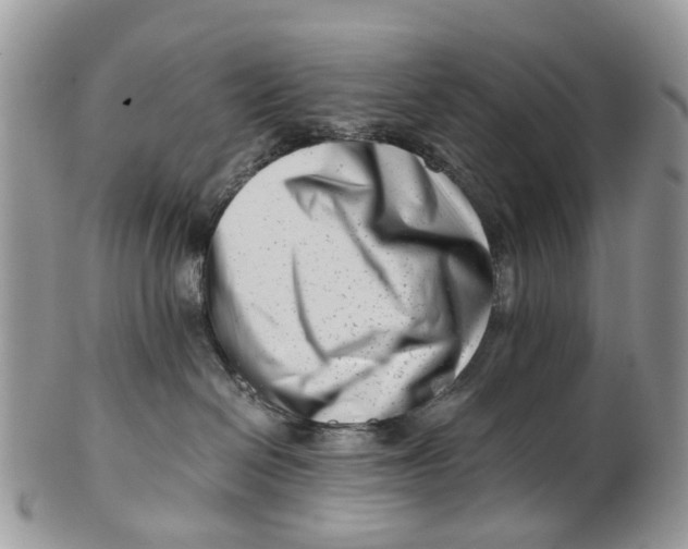 X0000101170286200807251140