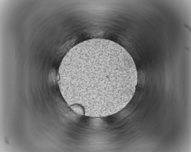 X0000101170287200807251140