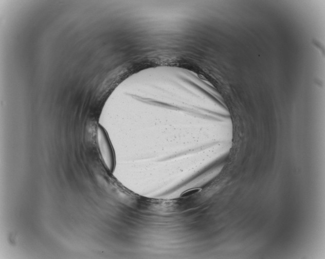 X0000101170288200807251140