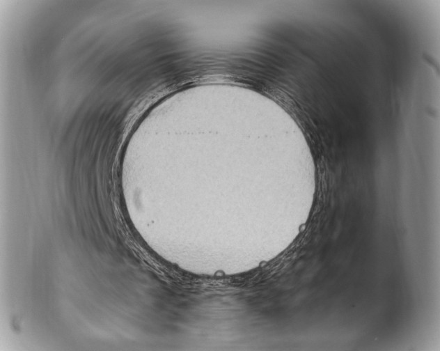 X0000101170289200807251139