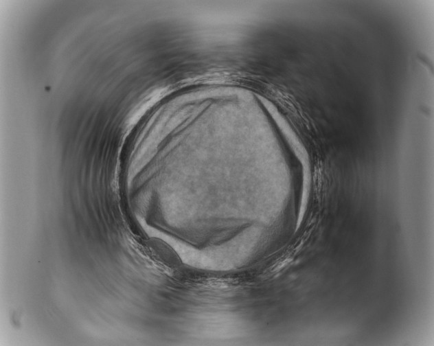 X0000101170292200807251139