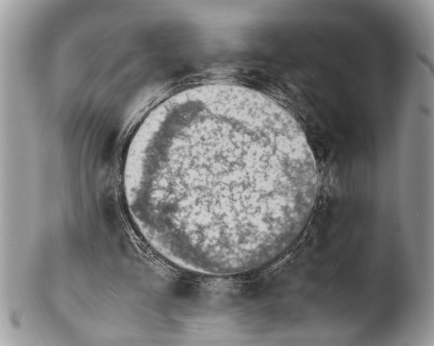 X0000101170293200807251139