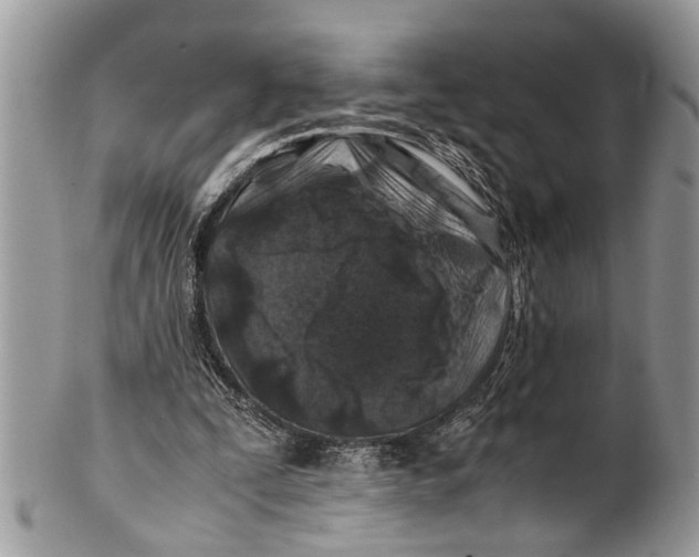 X0000101170295200807251139