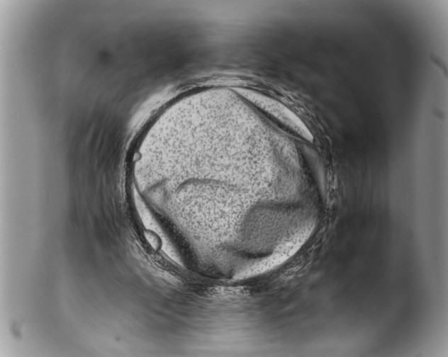 X0000101170296200807251139