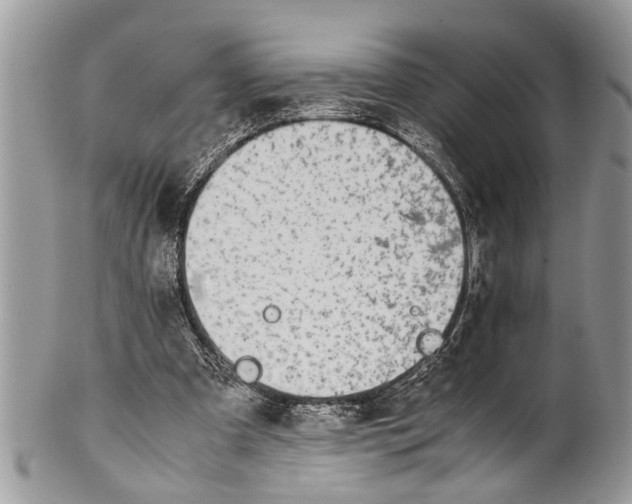 X0000101170297200807251139