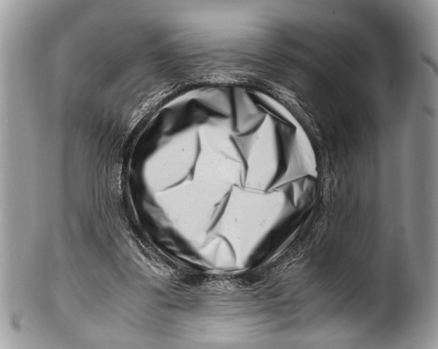 X0000101170299200807251139